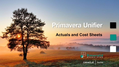 Using Cost Sheets to Track Actuals in Primavera Unifier